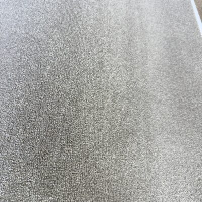 BEARPGCS - Royal Plush 30 Grey Canvas 2nds