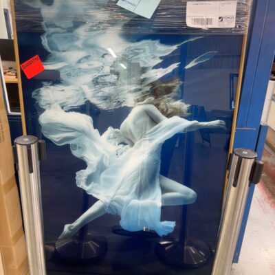 EX STAGING ARTWORK SOLD AS IS