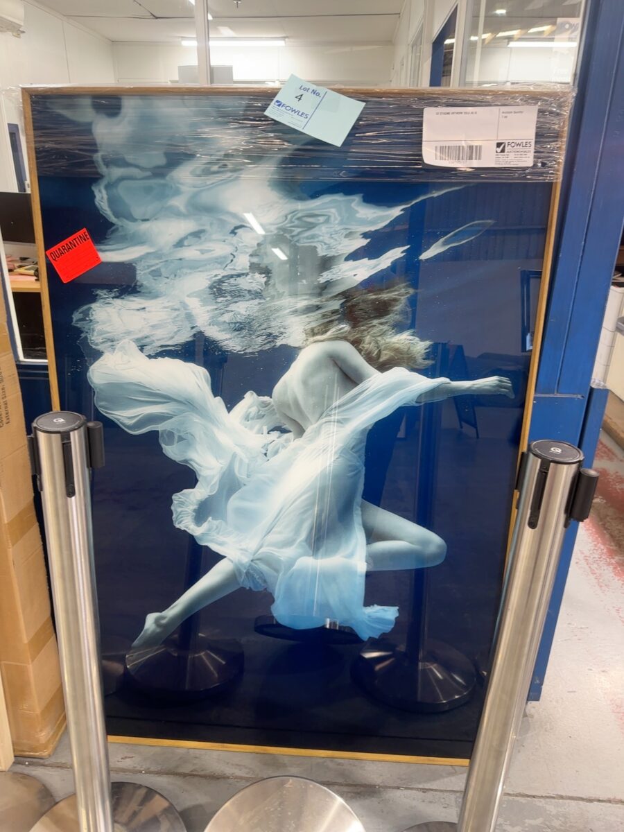 EX STAGING ARTWORK SOLD AS IS