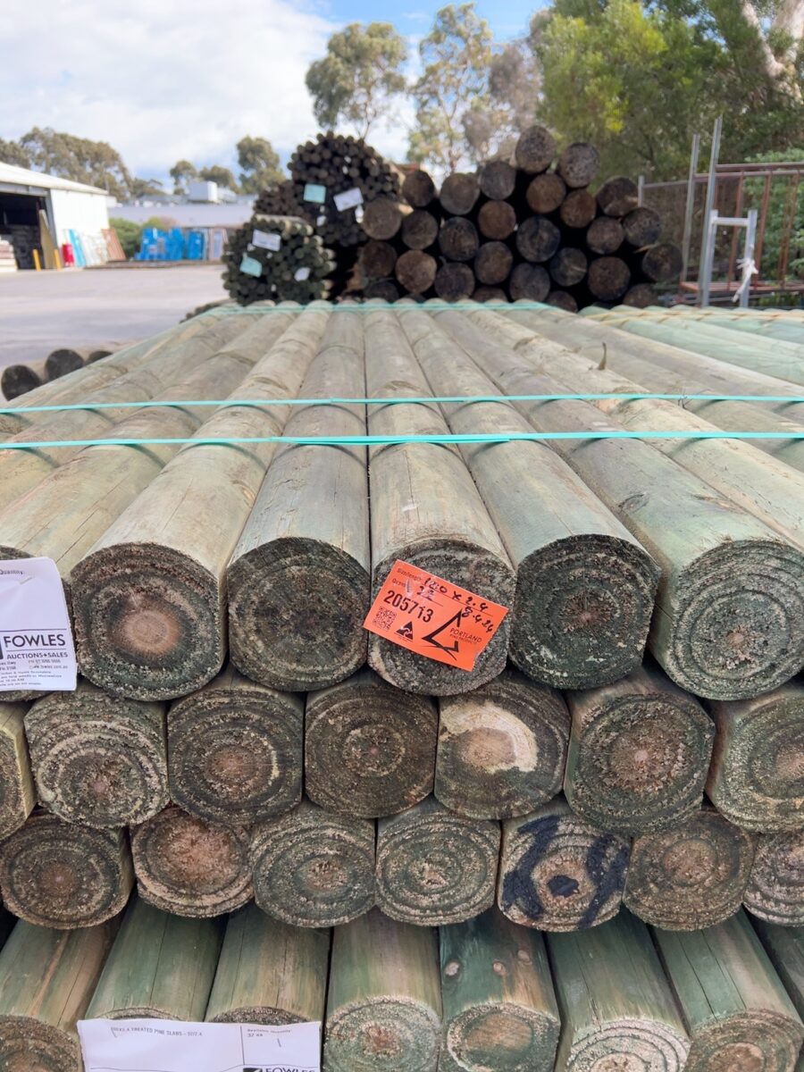 100X2.4 TREATED PINE SLABS-32/2.4