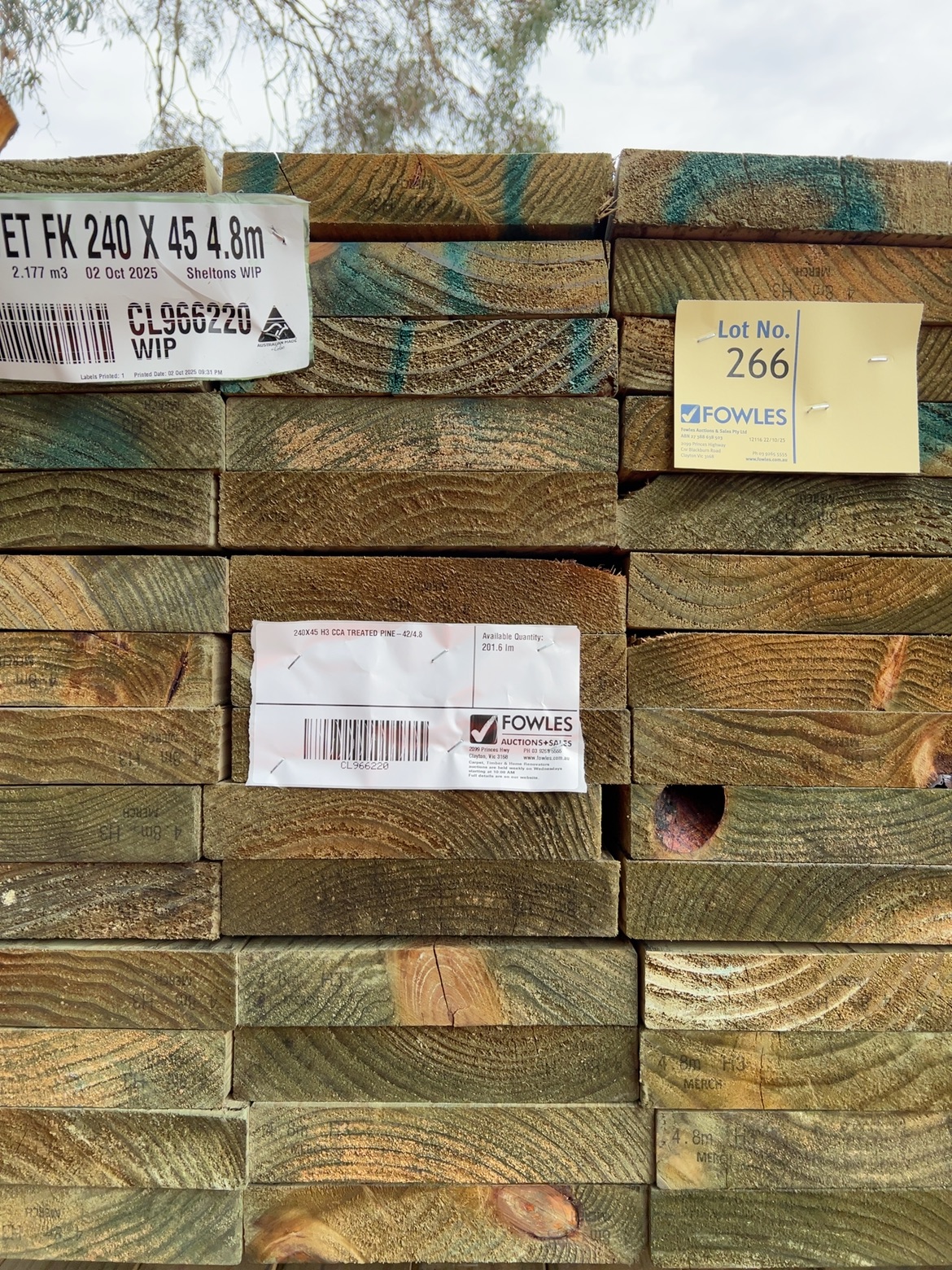 240X45 H3 CCA TREATED PINE-42/4.8