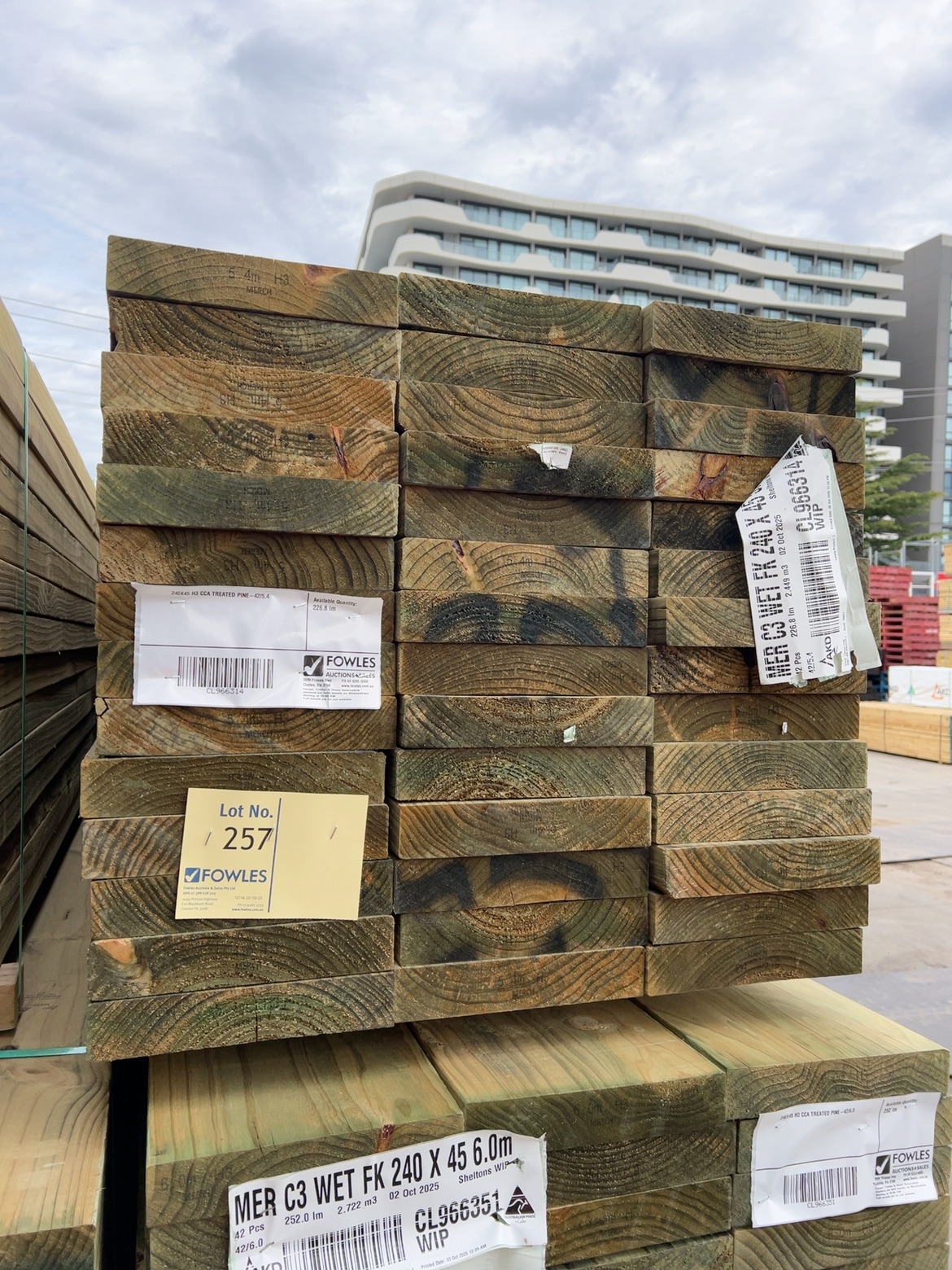 240X45 H3 CCA TREATED PINE-42/5.4 240X45 H3 CCA TREATED PINE-42/5.4