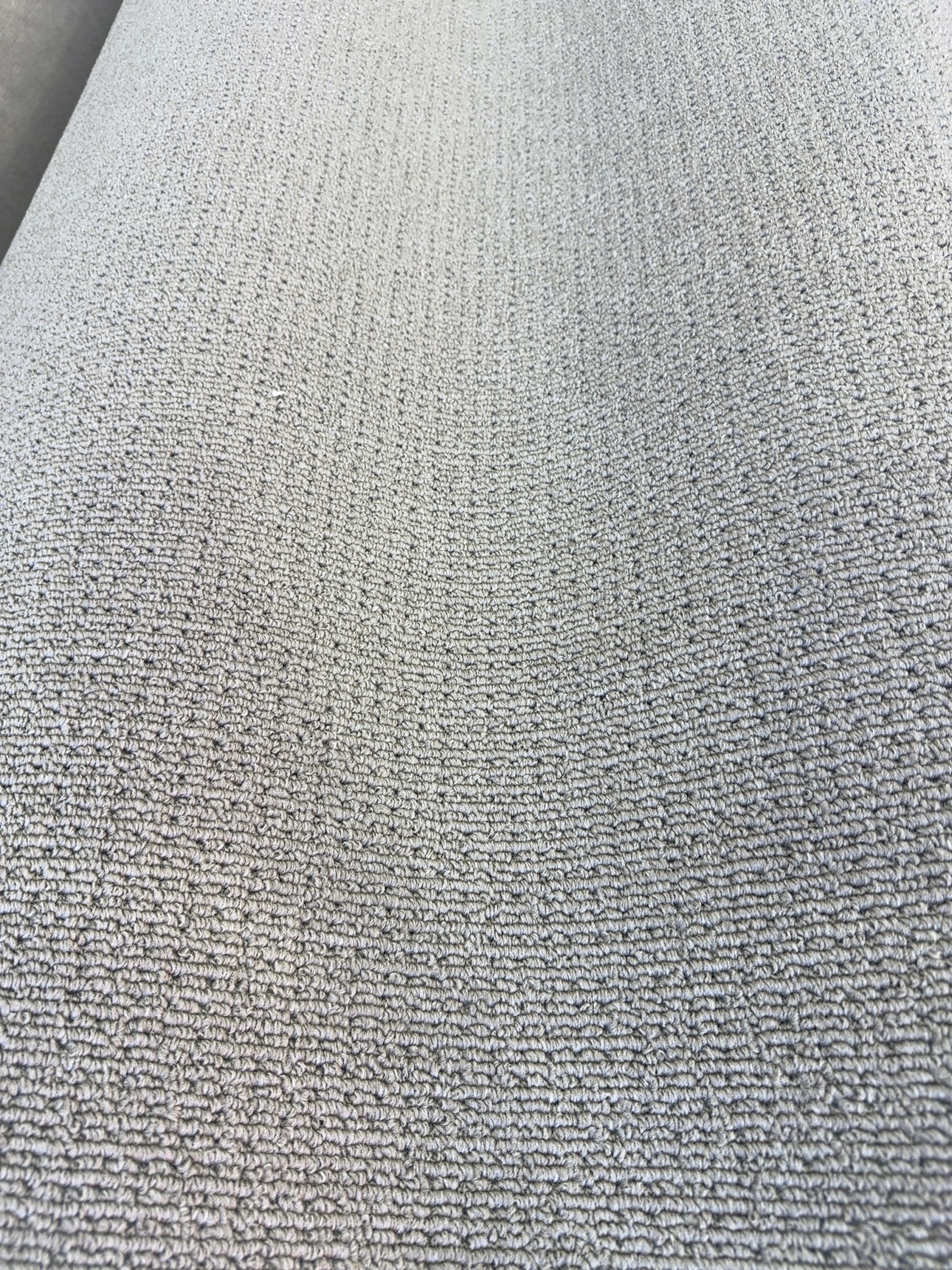 ECSC2931S - Savanna Candlebark 2931 2nds ECSC2931S - Savanna Candlebark 2931 2nds