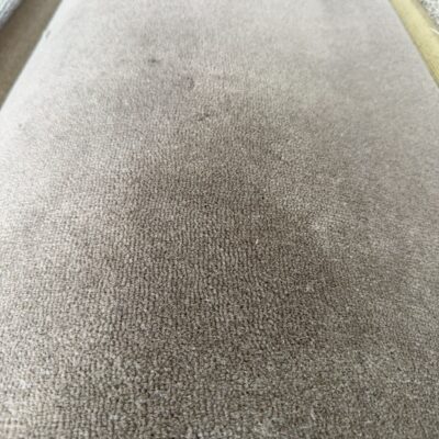 VC289428S - NINTH ISLAND CRISP