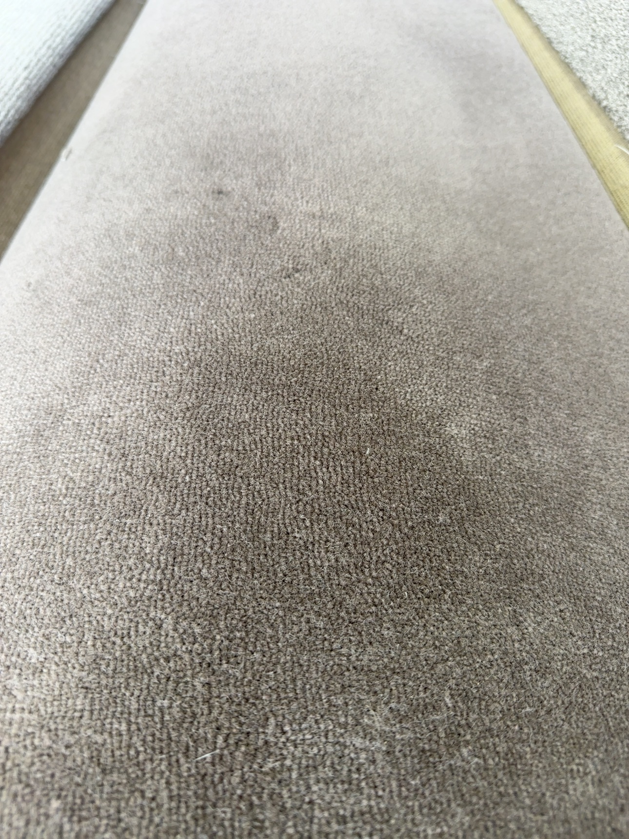 VC289428S - NINTH ISLAND CRISP VC289428S - NINTH ISLAND CRISP