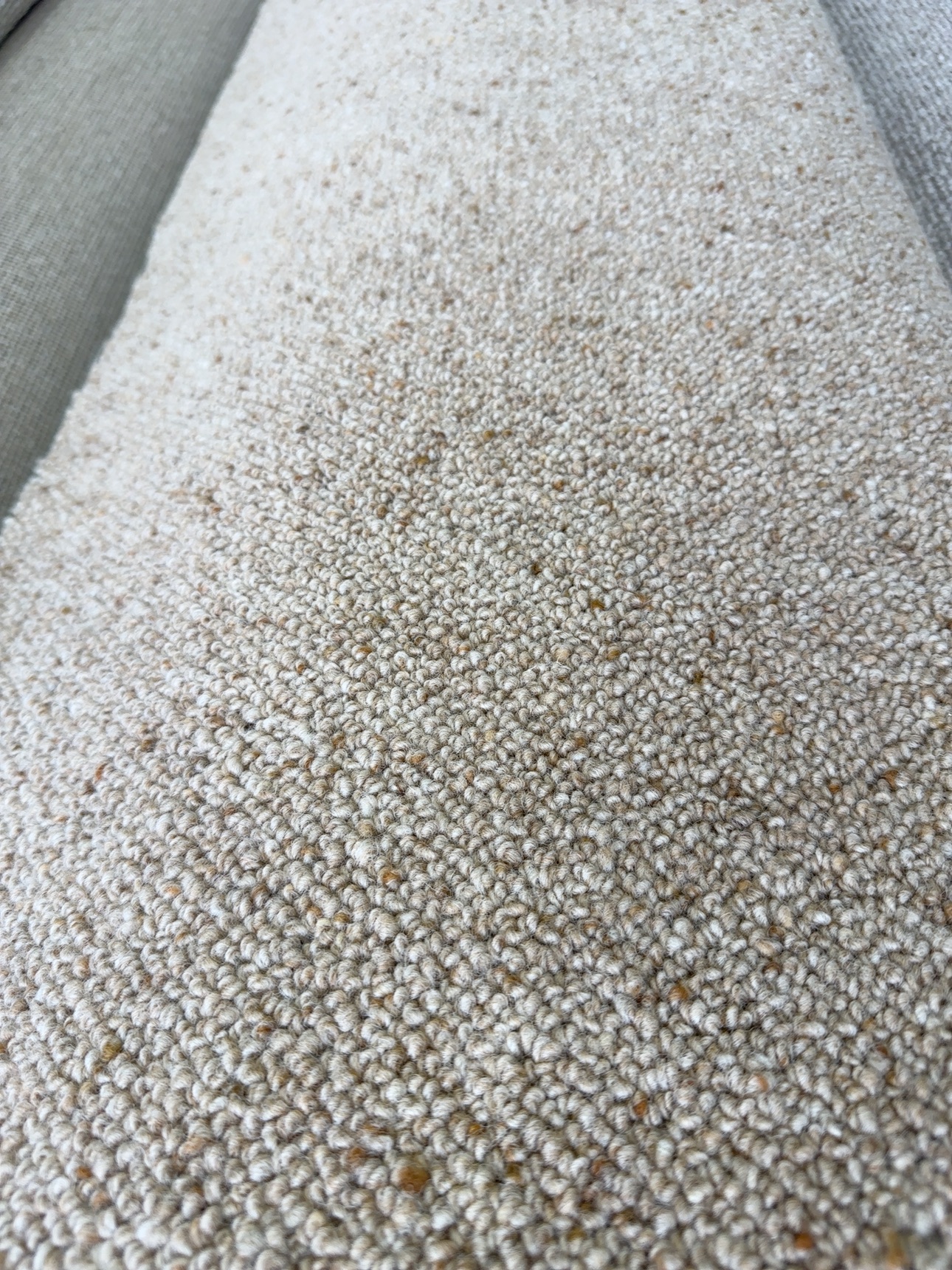 VC243535S - Mount Gipps Eagle 2nds VC243535S - Mount Gipps Eagle 2nds