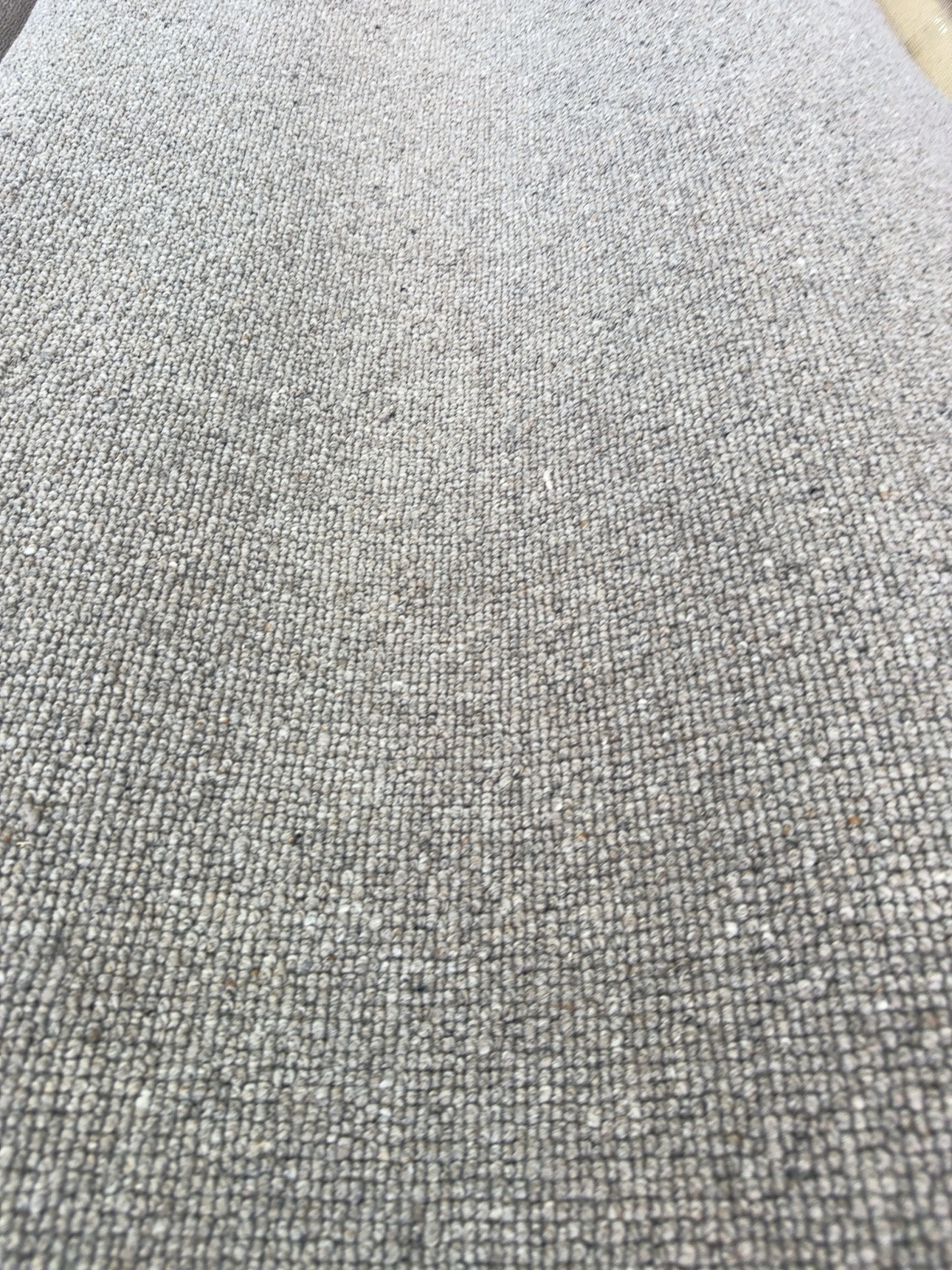 VC140339S - Elmview Eagle 2nds VC140339S - Elmview Eagle 2nds