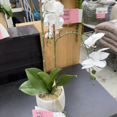 EX STAGING - FAUX ORCHID, SOLD AS IS