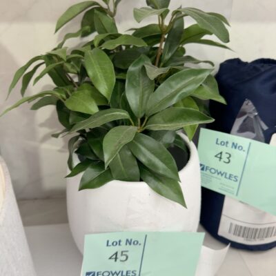FURNITURE RETAILER CLOSURE - WHITE PLANT POT WITH FAUX PLANTS, SOLD AS IS FURNITURE RETAILER CLOSURE - WHITE PLANT POT WITH FAUX PLANTS, SOLD AS IS