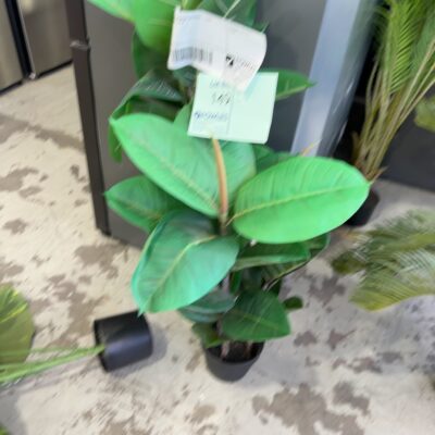 FURNITURE RETAILER CLOSURE - FAUX PLANT SOLD AS IS FURNITURE RETAILER CLOSURE - FAUX PLANT SOLD AS IS