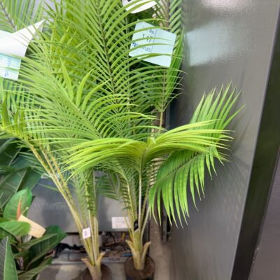 FURNITURE RETAILER CLOSURE - FAUX PLANT SOLD AS IS FURNITURE RETAILER CLOSURE - FAUX PLANT SOLD AS IS