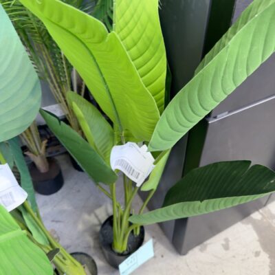 FURNITURE RETAILER CLOSURE - FAUX PLANT SOLD AS IS FURNITURE RETAILER CLOSURE - FAUX PLANT SOLD AS IS