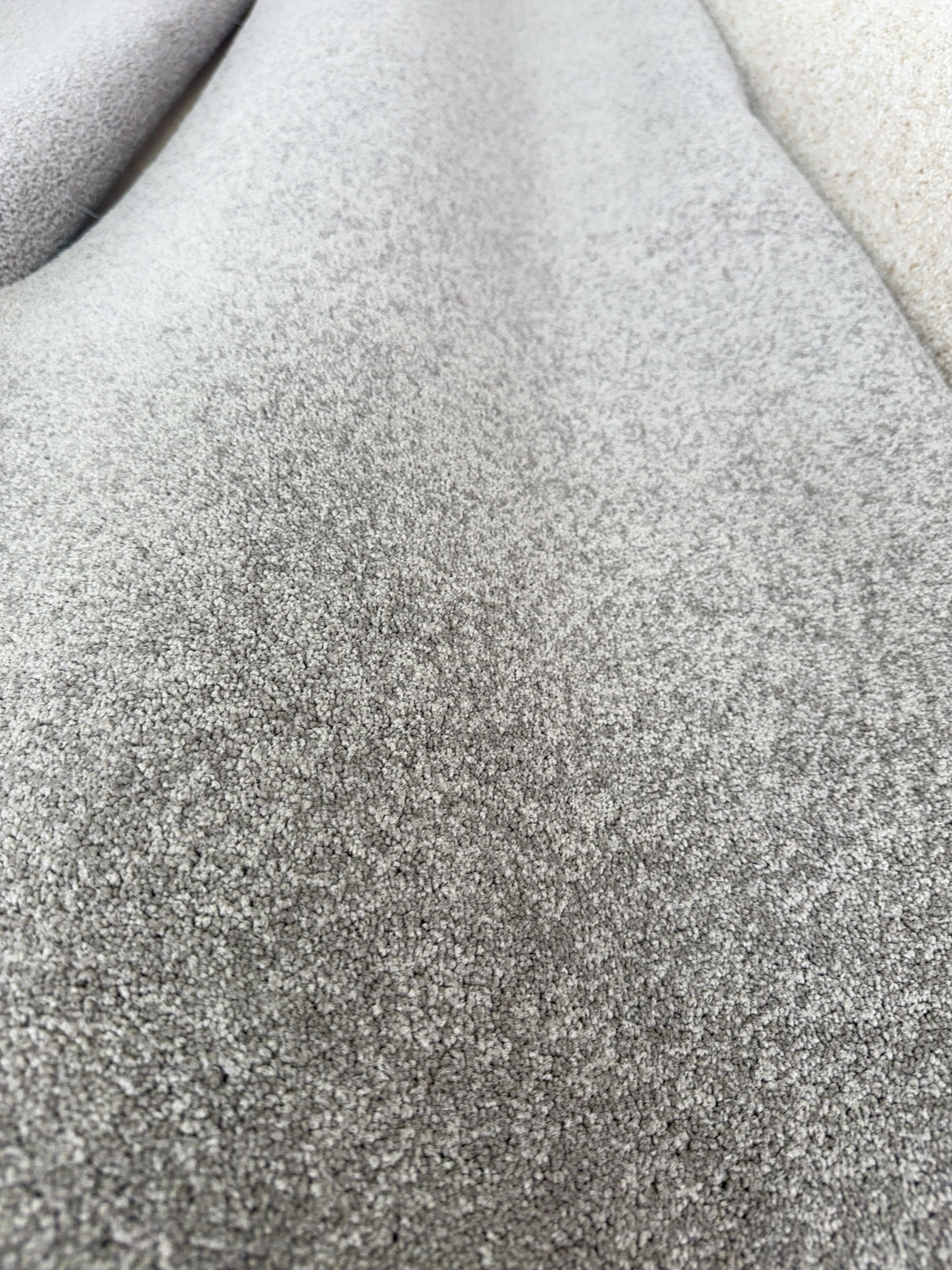 Bremworth Whisper Trail 2nds Bremworth Whisper Trail 2nds