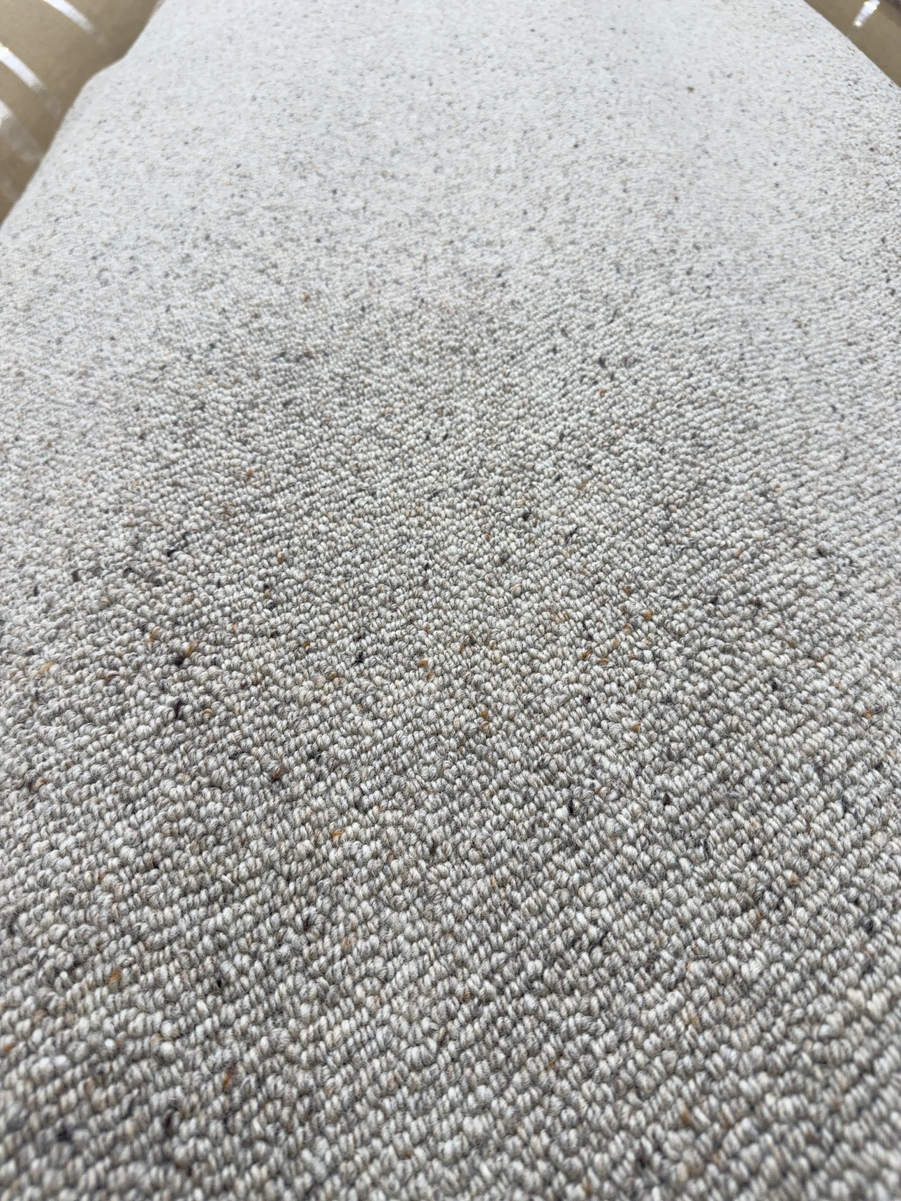 Bremworth Thorndale 2nds Bremworth Thorndale 2nds