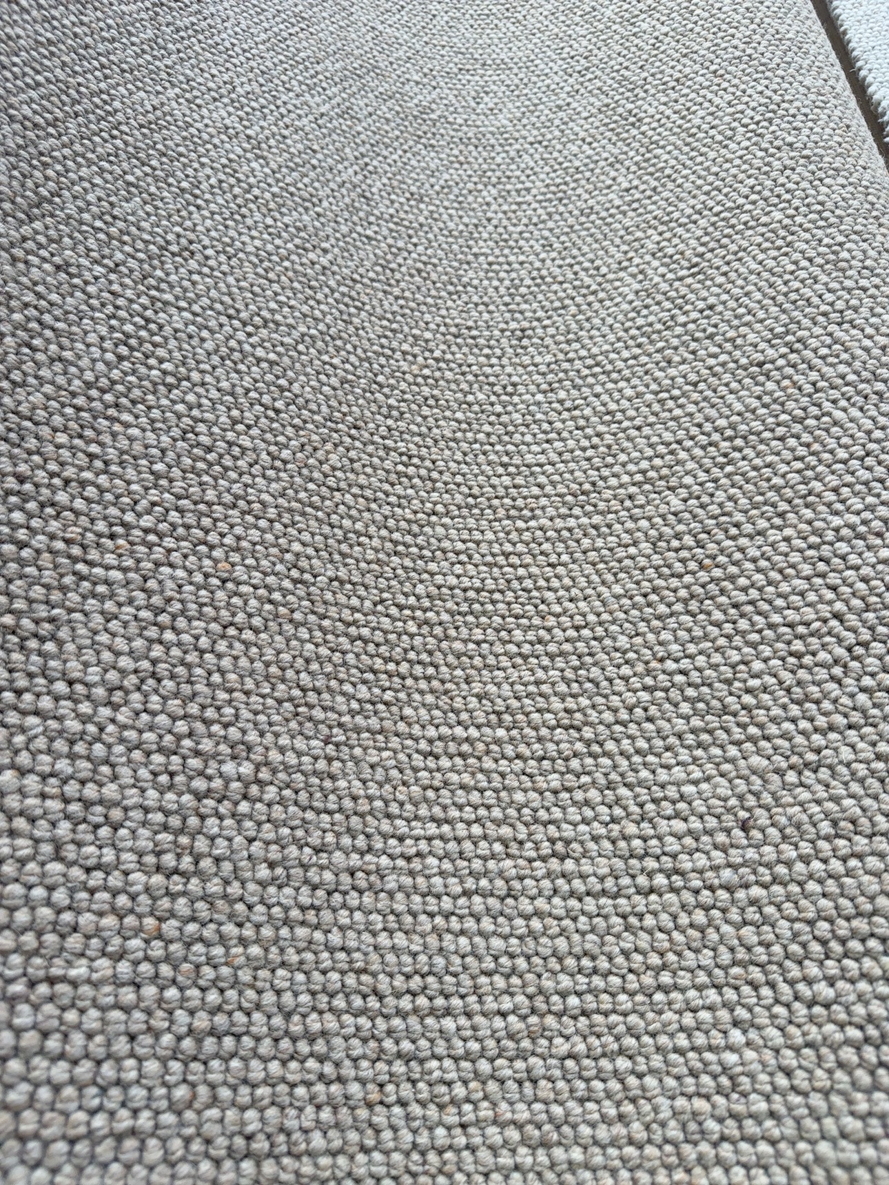 Bremworth Samurai 2nds Bremworth Samurai 2nds