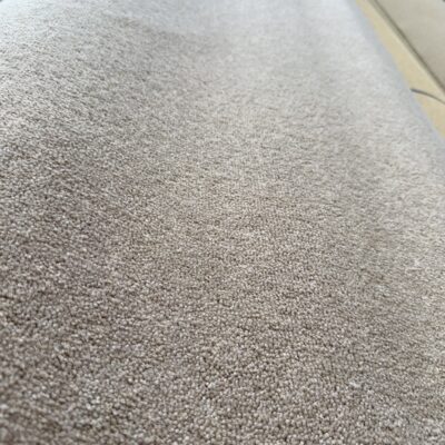 Millicent Carpet Buff 2nds