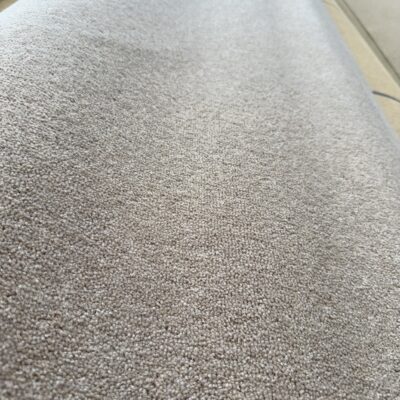Millicent Carpet Buff 2nds