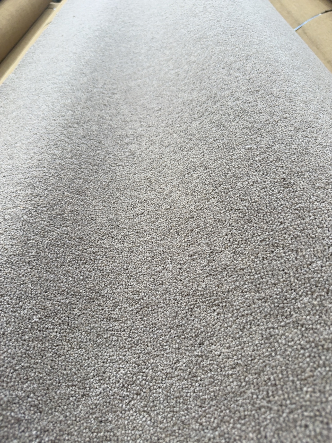 Millicent Carpet Eagle 2nds Millicent Carpet Eagle 2nds