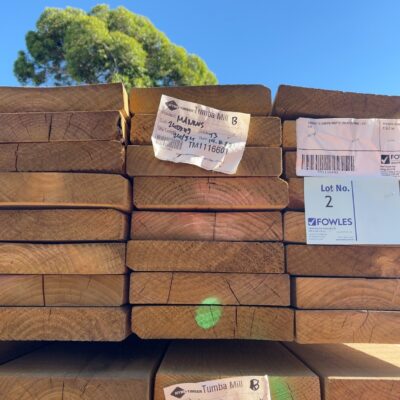 240X45 T3 GREEN MGP10 TREATED PINE-24/4.8