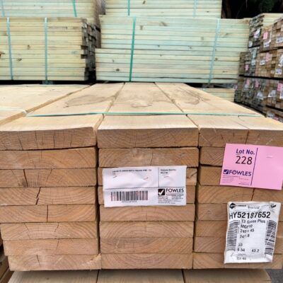 240X45 T3 GREEN MGP10 TREATED PINE-24/1.8