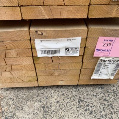 240X45 T3 GREEN MGP10 TREATED PINE-24/1.8