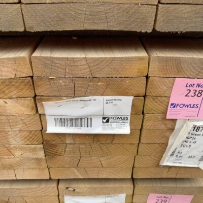 240X45 T3 GREEN MGP10 TREATED PINE-24/1.8