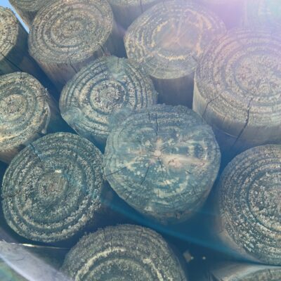 100-125MM TREATED PINE POLES 50/2.4