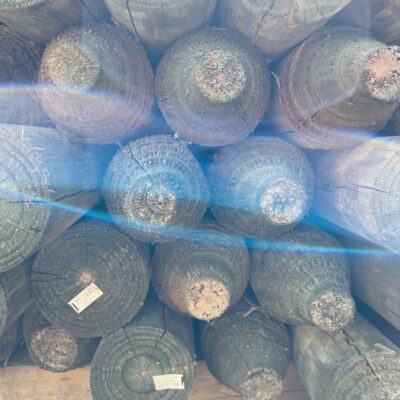 100-125MM TREATED PINE POLES POINTED 50/1.8
