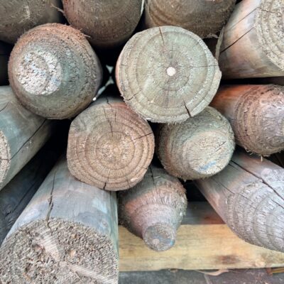 100-125MM TREATED PINE POLES POINTED 50/1.8