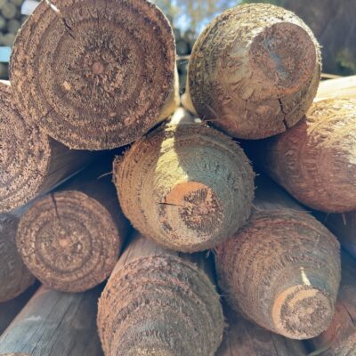 100-125MM TREATED PINE POLES 50/2.1
