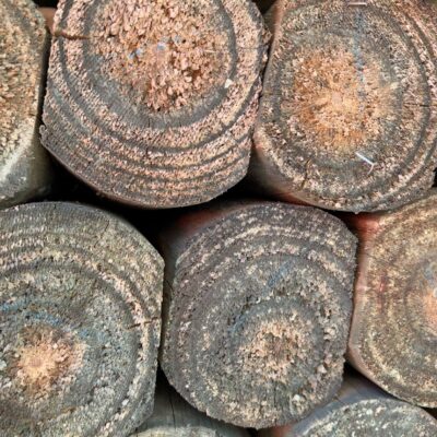 100MM TREATED PINE POLES TWIN EDGE SLABS 32/2.4