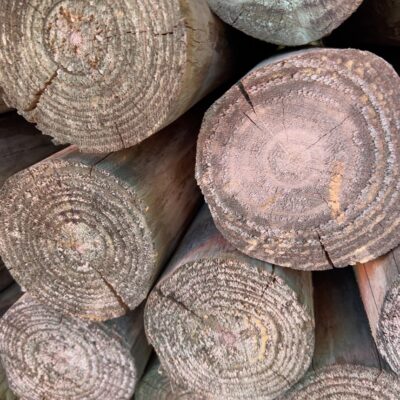100-125MM TREATED PINE POLES 50/2.1