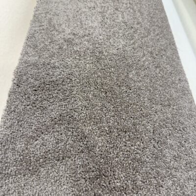 Tango Thicket 2nds Tango Thicket 2nds