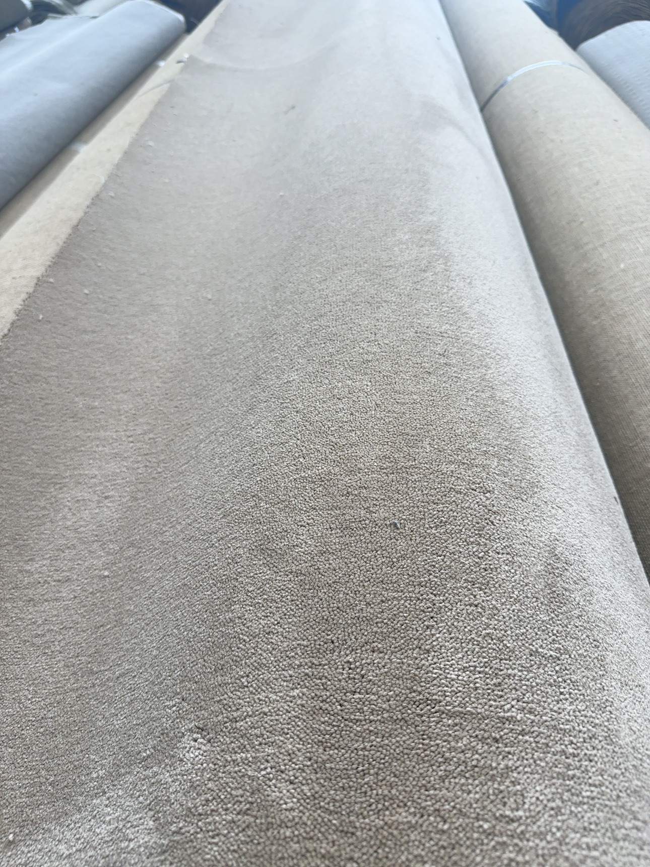 Hamilton Carpet Winter Haven 2nds Hamilton Carpet Winter Haven 2nds