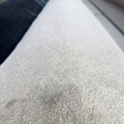 BEDM2 - Delmara Misty 2nds