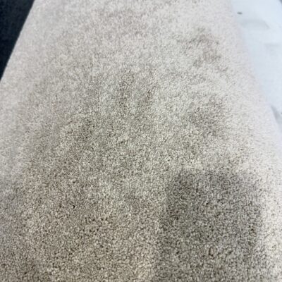 BEDP2 - Delmara Parchment 2nds