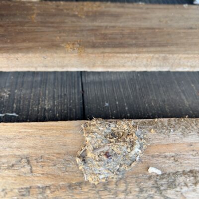 146X22 AMALFI HEAVY GRAIN COMPOSITE DECKING-60/5.4