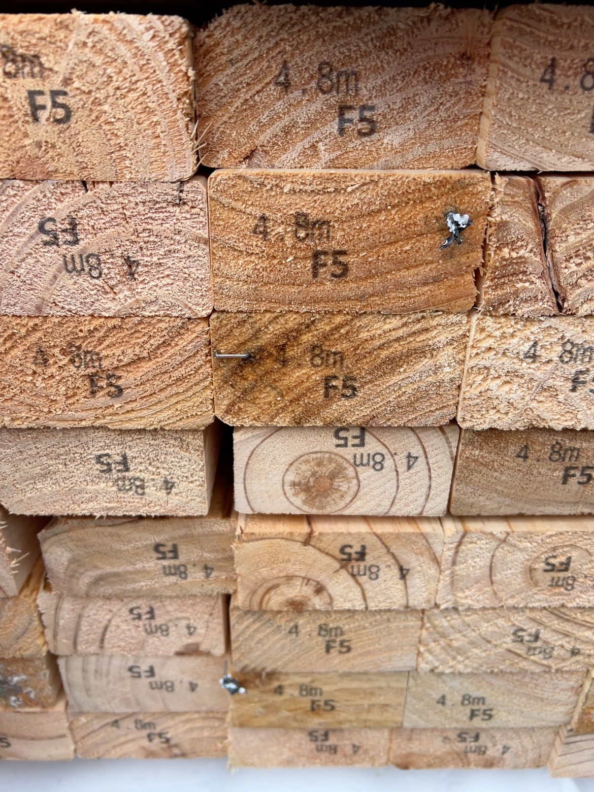 90X45 F5 PINE-112/4.8 90X45 F5 PINE-112/4.8