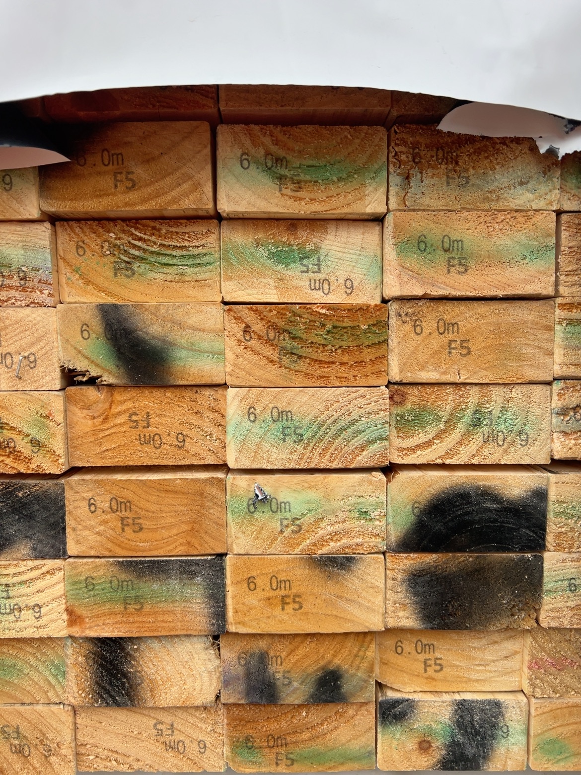 90X45 F5 PINE-112/6.0 90X45 F5 PINE-112/6.0