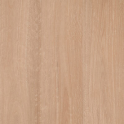 Chai Blackbutt E910