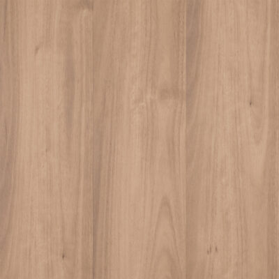 Spice Spotted Gum E920