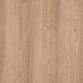 Spice Spotted Gum E920
