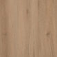 Ylang E950
