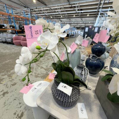 EX STAGING - FAUX ORCHID, SOLD AS IS EX STAGING - FAUX ORCHID, SOLD AS IS