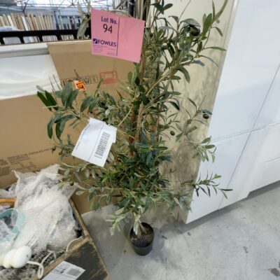 EX STAGING - FAUX PLANT, SOLD AS IS EX STAGING - FAUX PLANT, SOLD AS IS