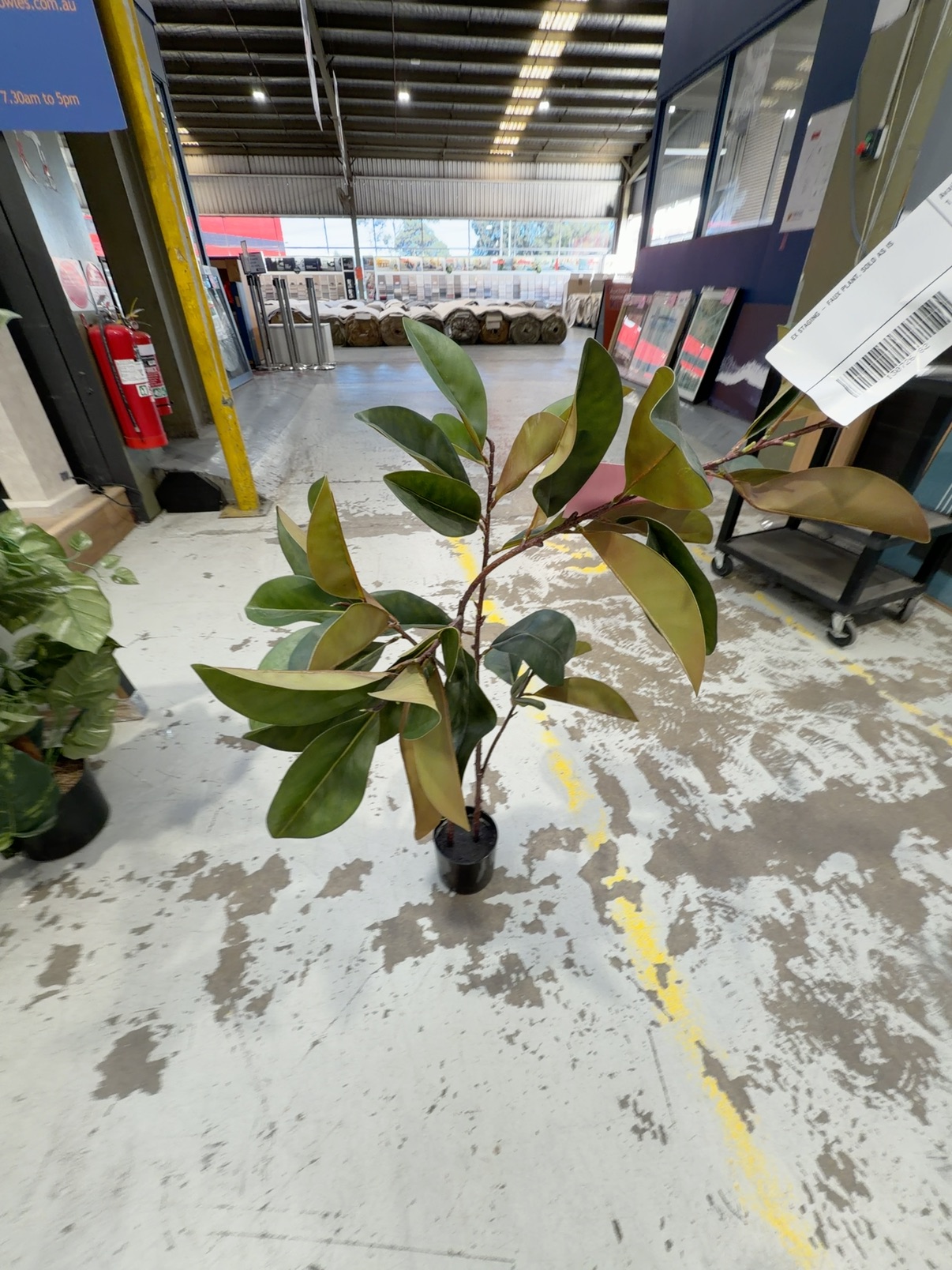 EX STAGING - FAUX PLANT, SOLD AS IS EX STAGING - FAUX PLANT, SOLD AS IS
