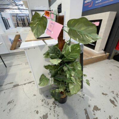 EX STAGING - FAUX PLANT, SOLD AS IS EX STAGING - FAUX PLANT, SOLD AS IS