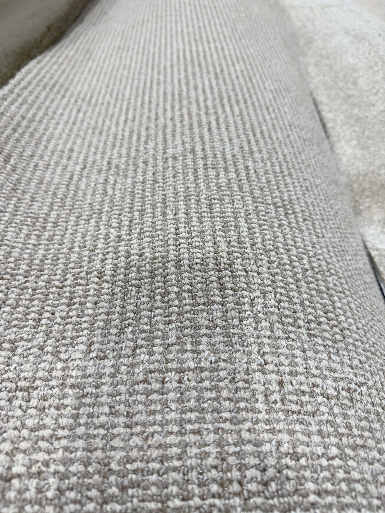 Ocean Grove Carpet Doe 2nds Ocean Grove Carpet Doe 2nds