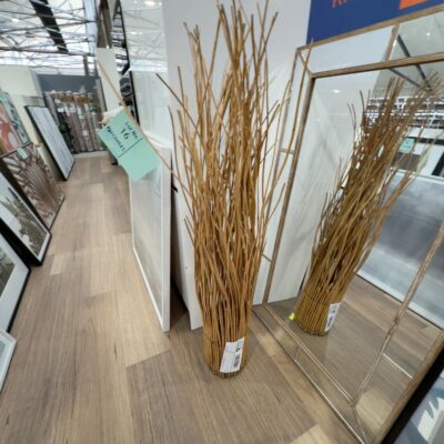 EX STAGING - CANE STEMS SOLD AS IS EX STAGING - CANE STEMS SOLD AS IS