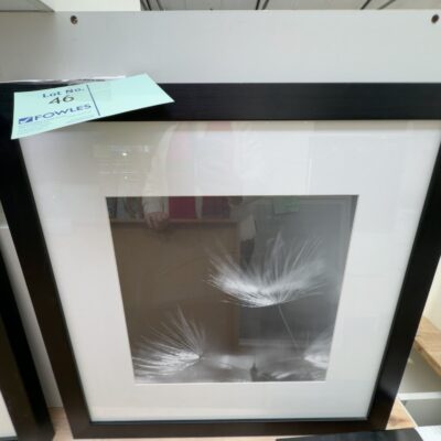 EX DISPLAY HOME - ARTWORK SOLD AS IS EX DISPLAY HOME - ARTWORK SOLD AS IS